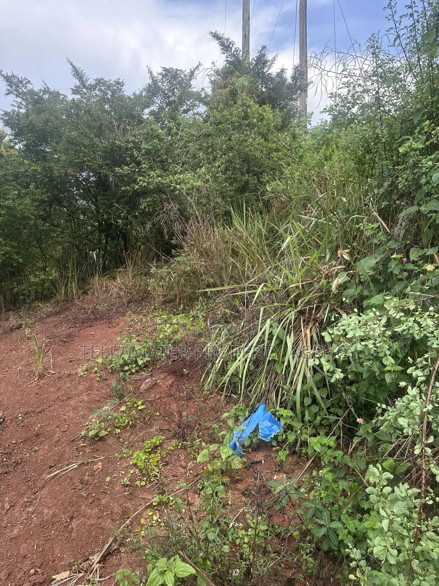 Private Mailo 50*100ft Plot With a Ready Title at Mbalala for Sale in Mukono TC