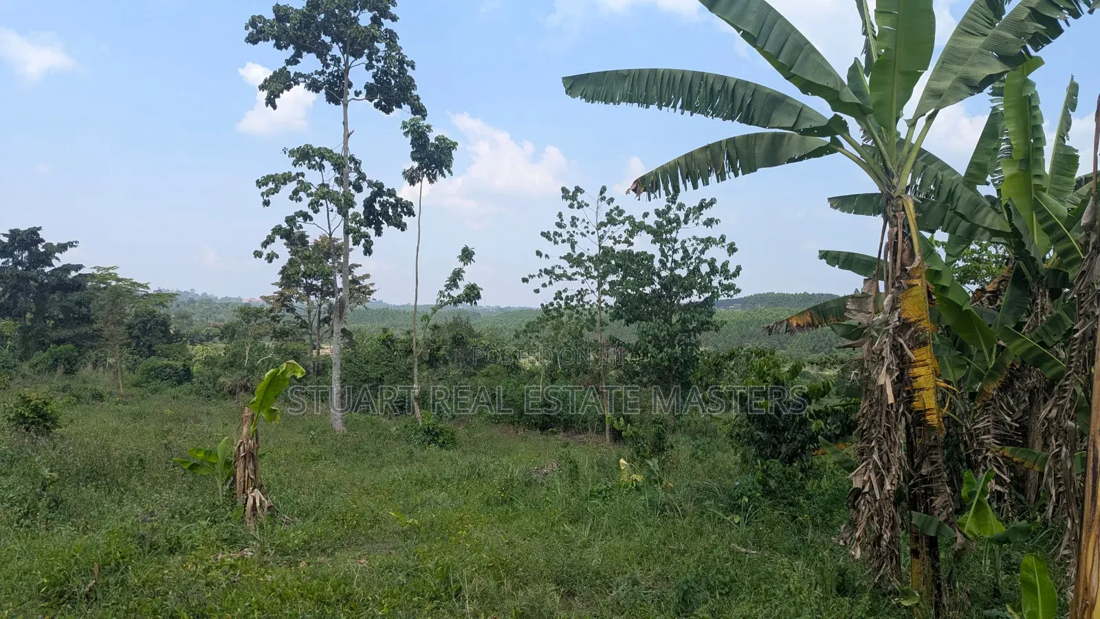 Land for Sale at Kabembe in Nama