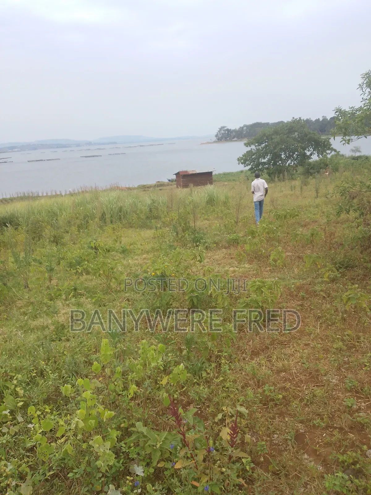 1.5 Acres of Land for Sale in Ntenjeru / Mukono