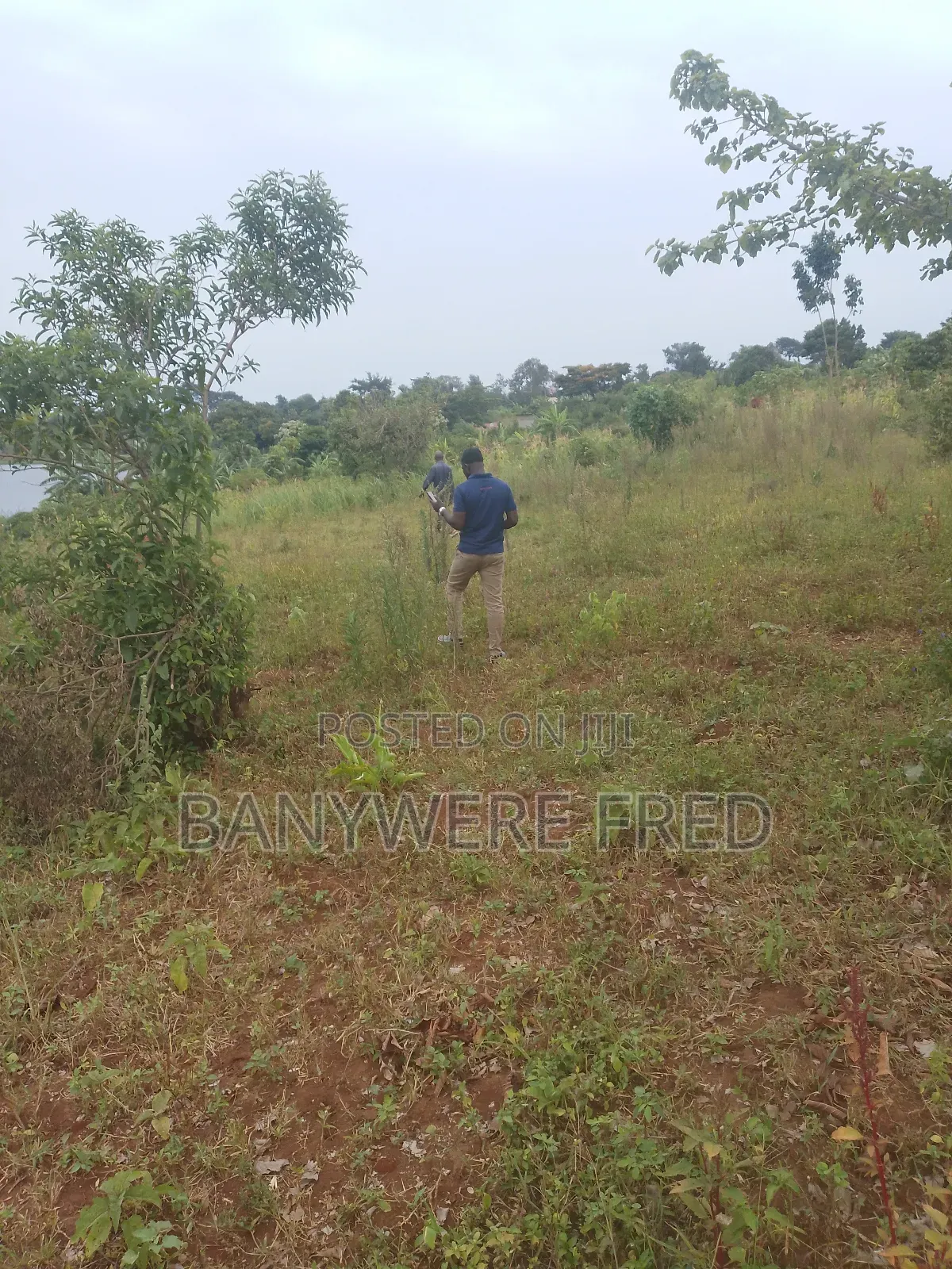1.5 Acres of Land for Sale in Ntenjeru / Mukono