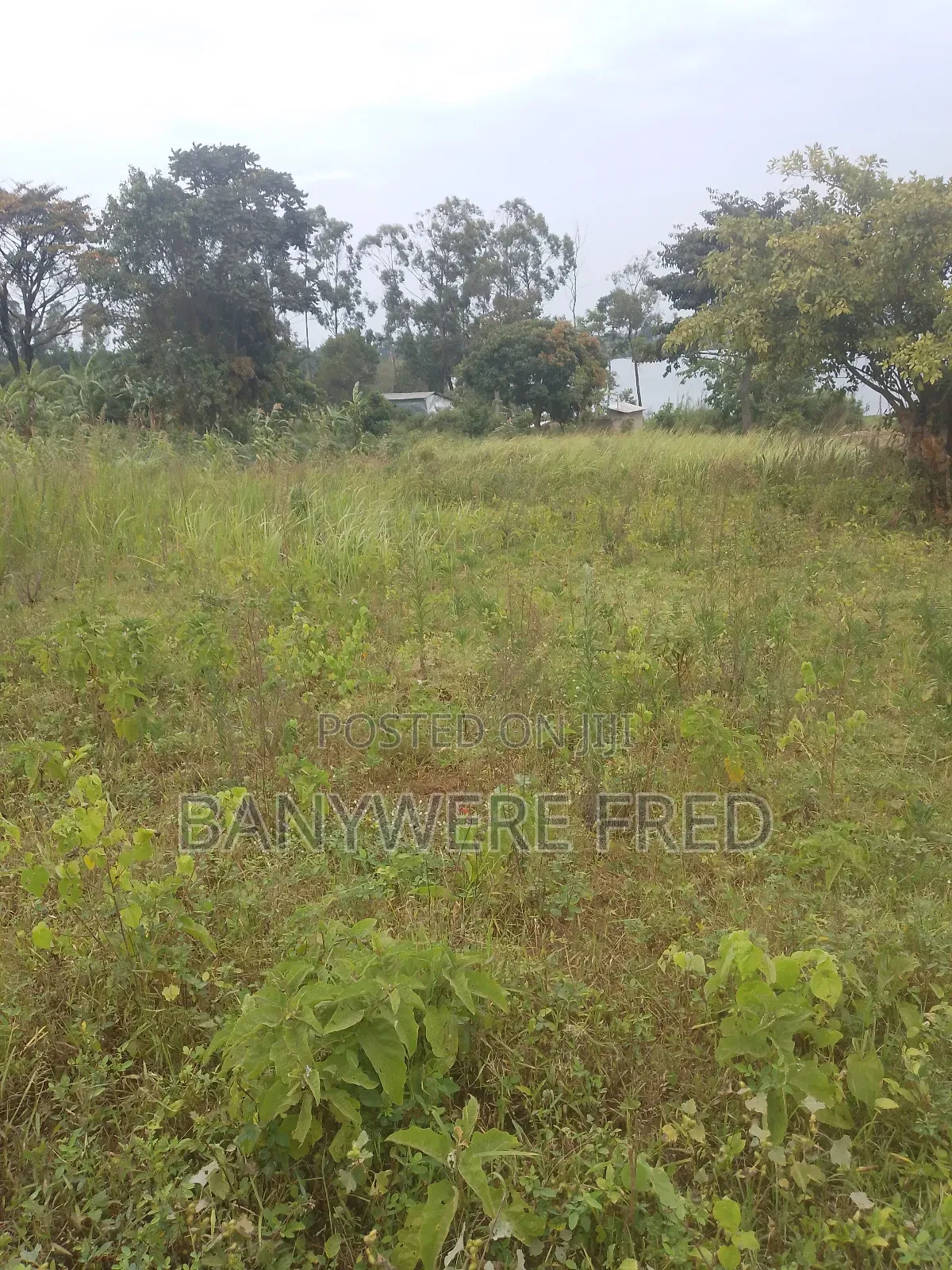 60 Acres of Farmland for Sale in Kimenyedde