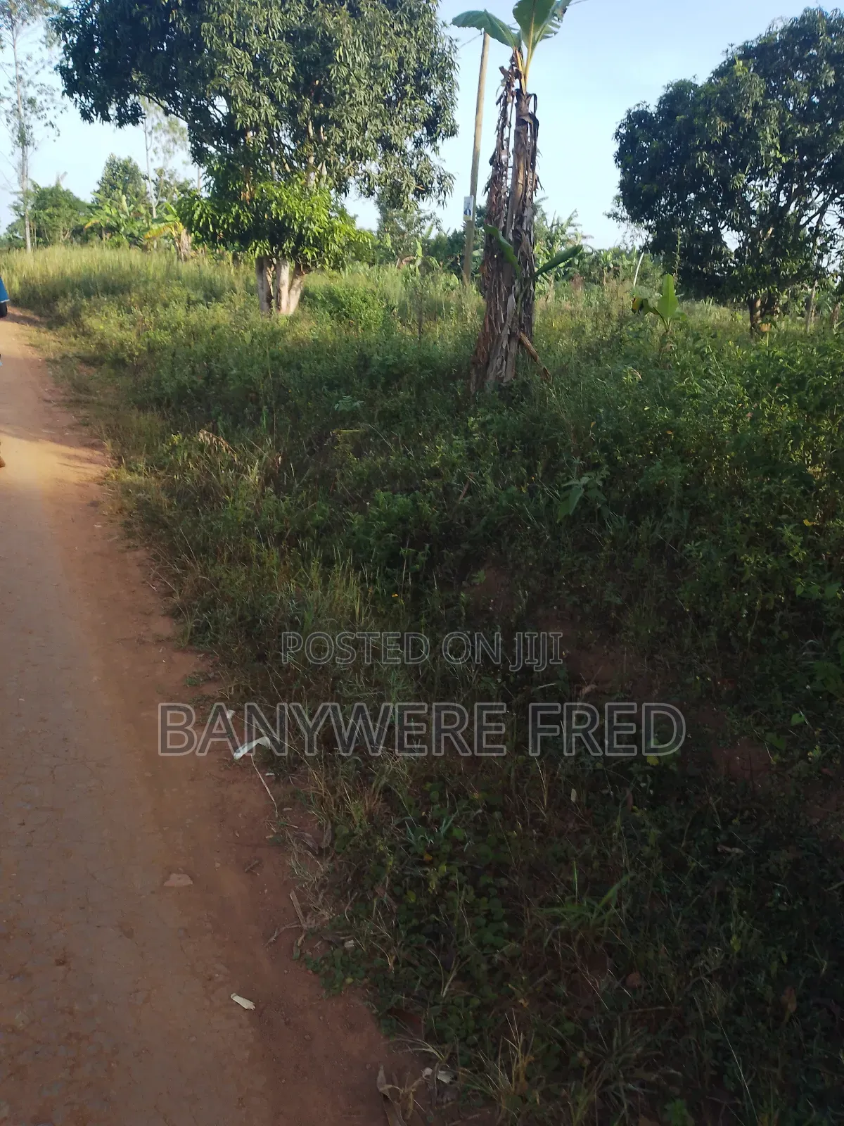 60 Acres of Farmland for Sale in Kimenyedde