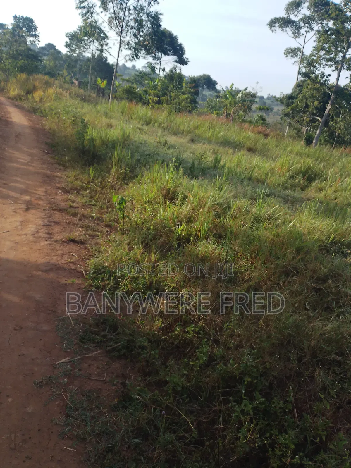 60 Acres of Farmland for Sale in Kimenyedde