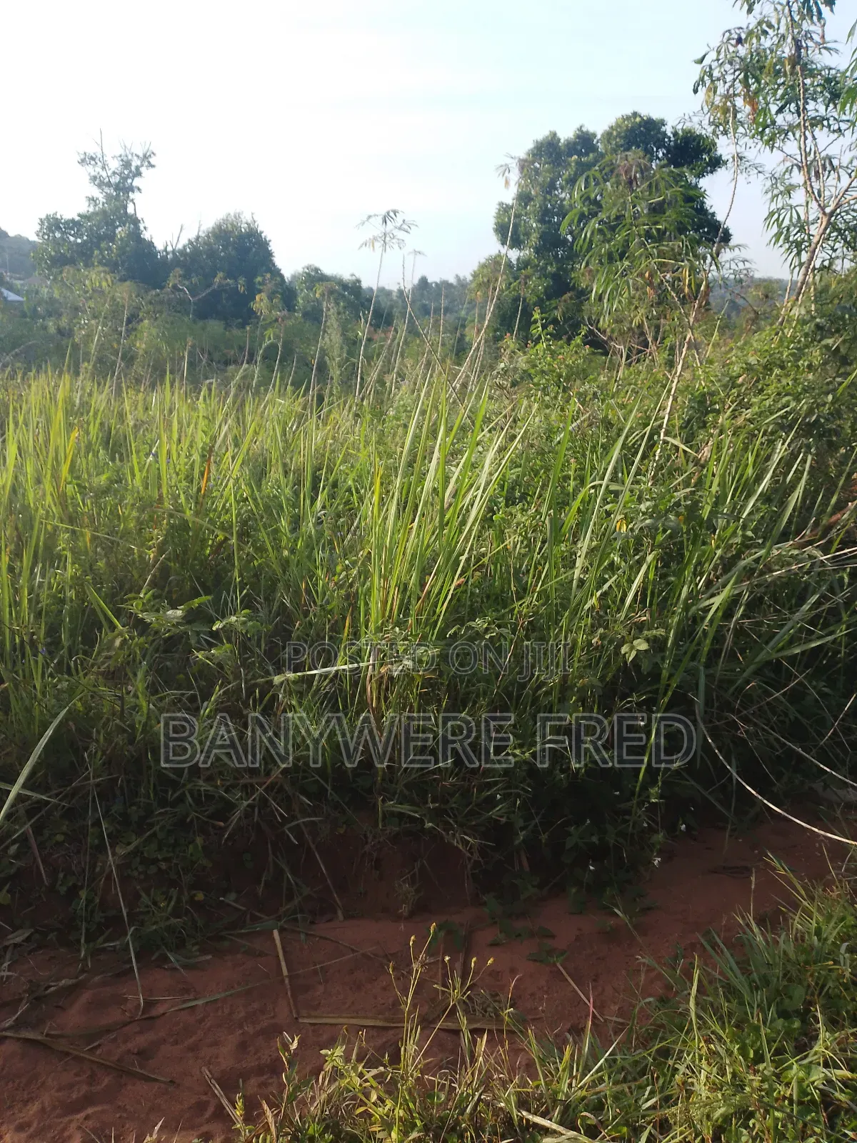 5acres of Land for Sale in Lukasa in Ntunda