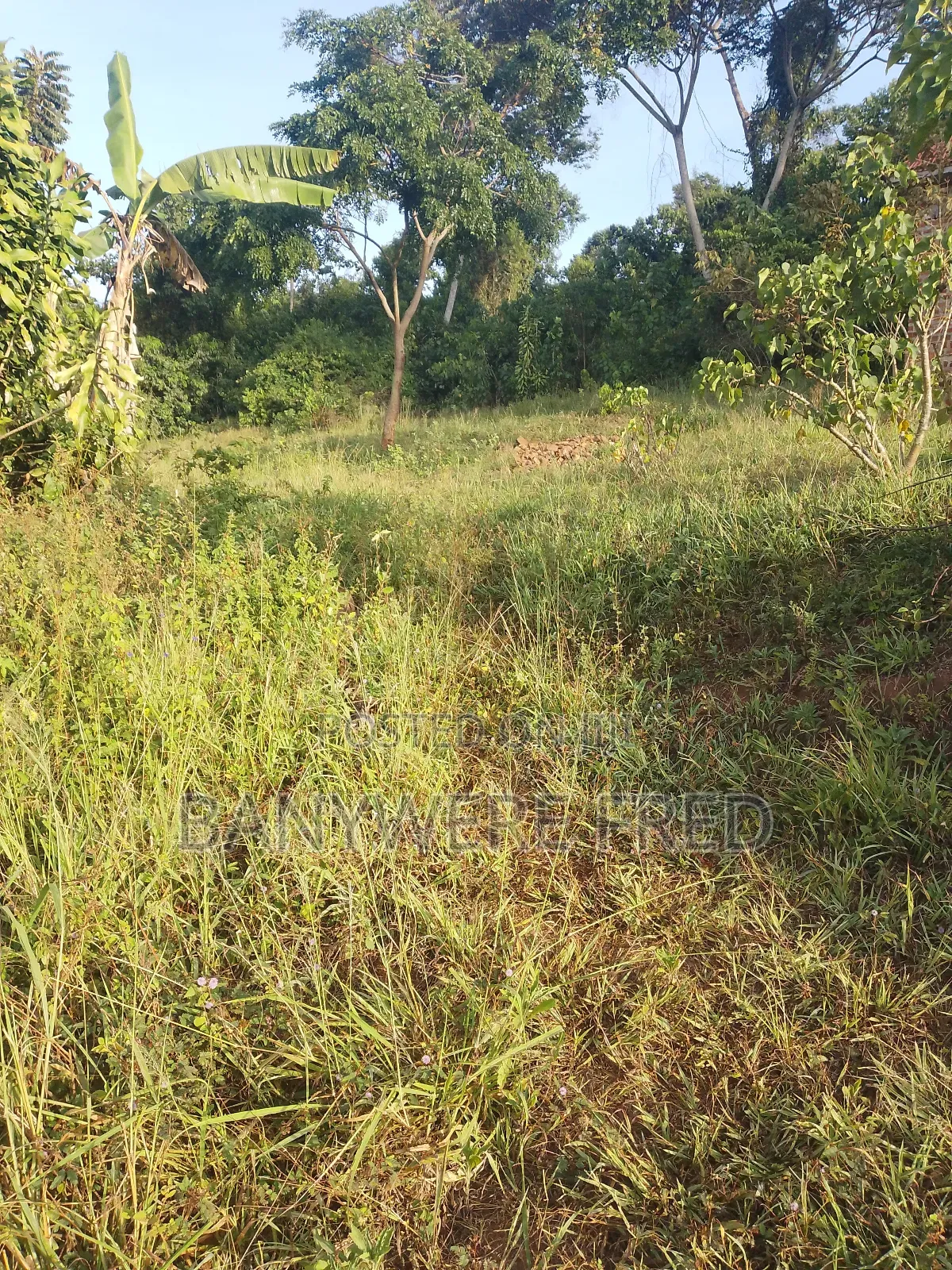 60acres of Industrial Land for Sale in Makulubita