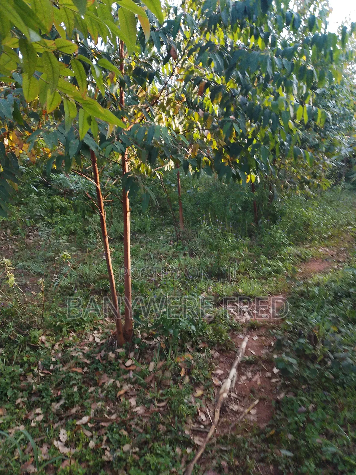 60acres of Industrial Land for Sale in Makulubita