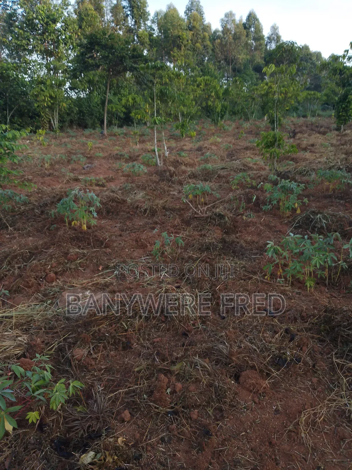 50/100 Plot for Sale in Kiwango in Goma