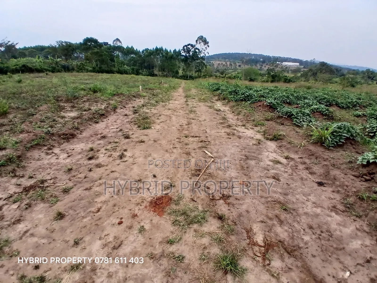 Prime Plots For Sale At Namayumba~Kyampisi Kulya Show Estate~Hoima Rd. in Namayumba