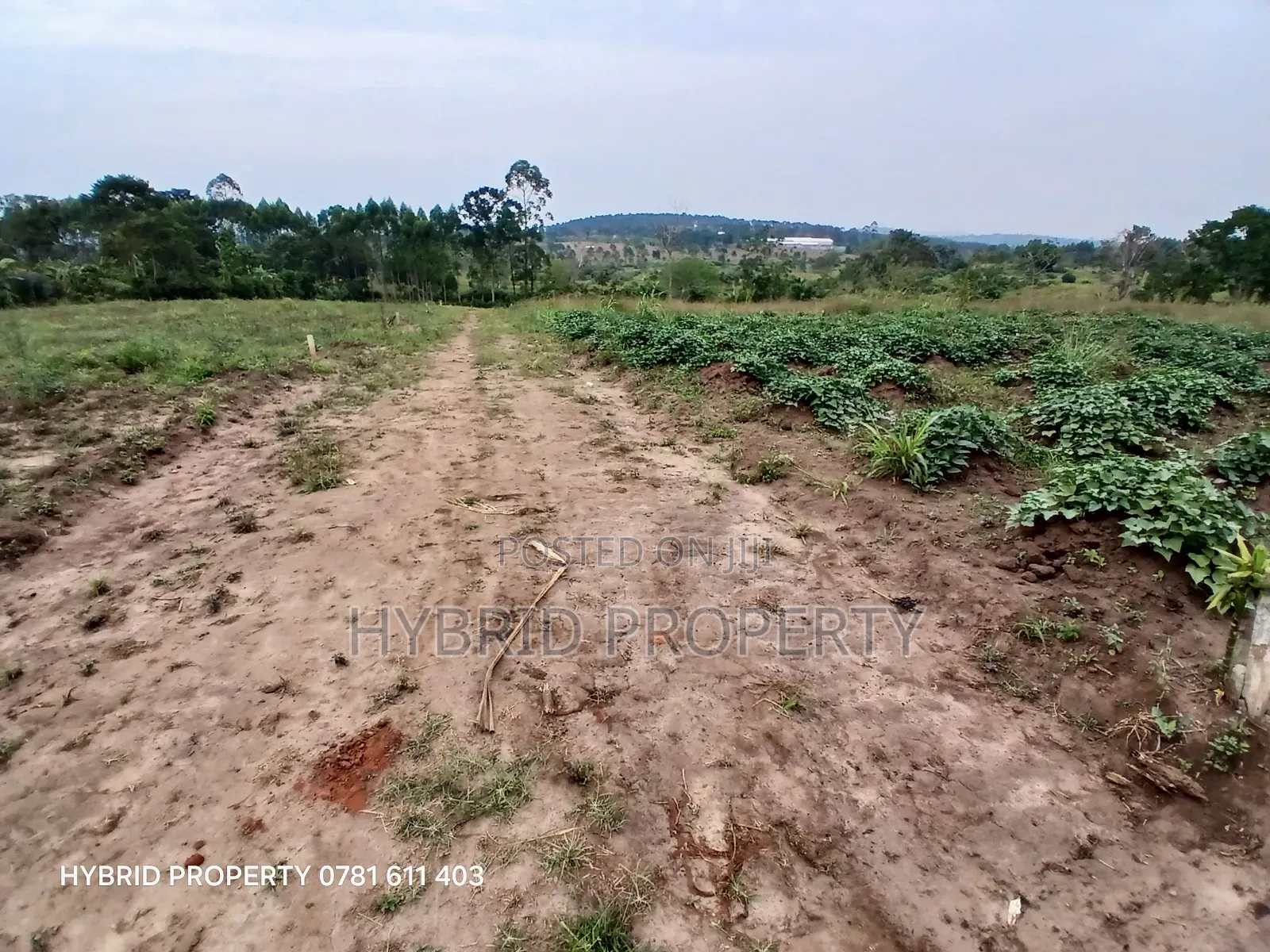 Prime Plots For Sale At Namayumba~Kyampisi Kulya Show Estate~Hoima Rd. in Namayumba