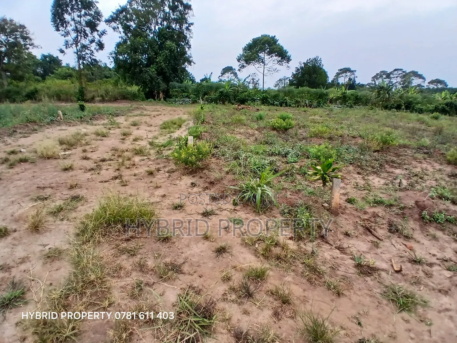 Prime Plots For Sale At Namayumba~Kyampisi Kulya Show Estate~Hoima Rd. in Namayumba