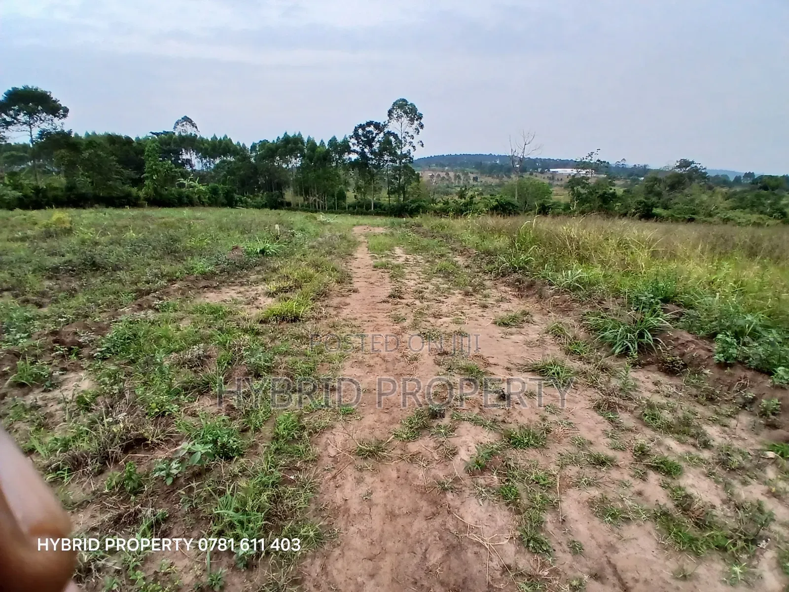 Prime Plots For Sale At Namayumba~Kyampisi Kulya Show Estate~Hoima Rd. in Namayumba