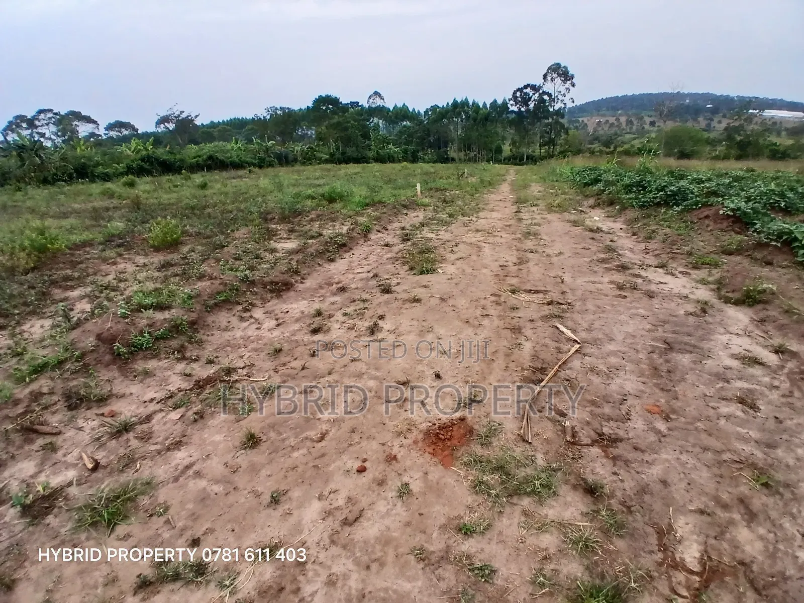Prime Plots For Sale At Namayumba~Kyampisi Kulya Show Estate~Hoima Rd. in Namayumba