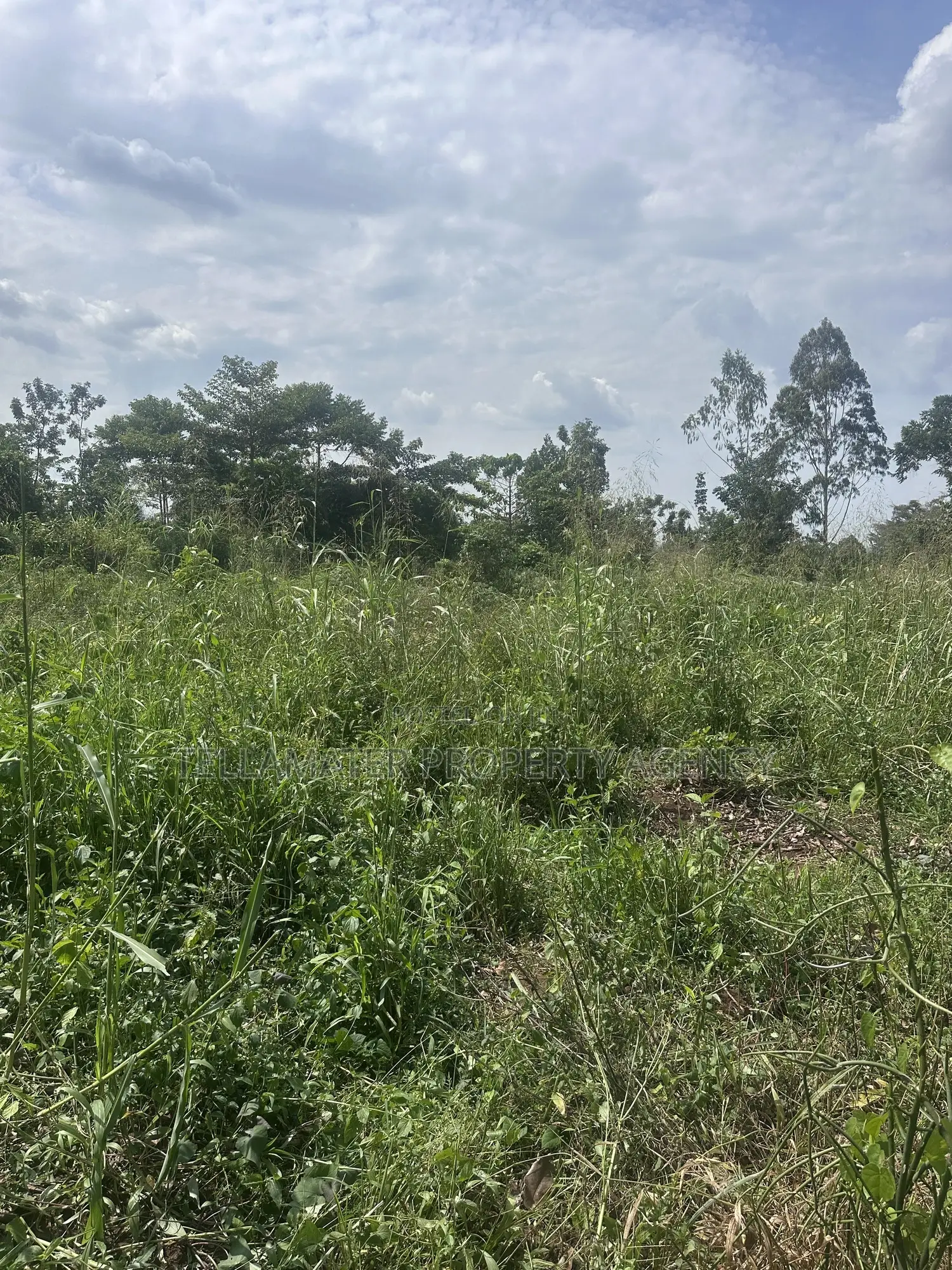 50*100ft Plots With Ready Titles for Sale at Nakifuma-Kakinzi in Kyampisi