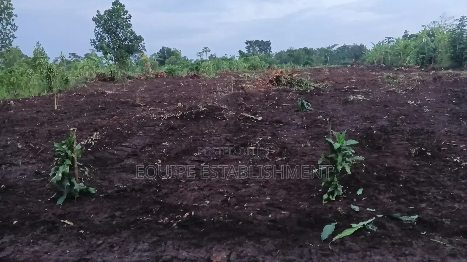 Equipe Establishment Uganda Limited in Kasawo