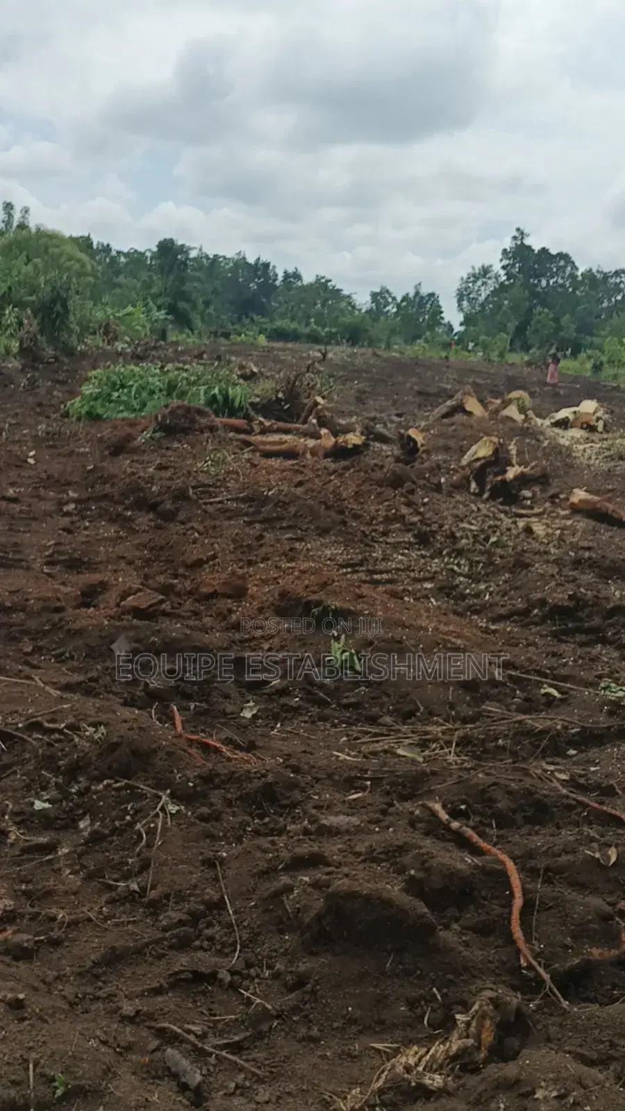 Equipe Establishment Uganda Limited in Kasawo