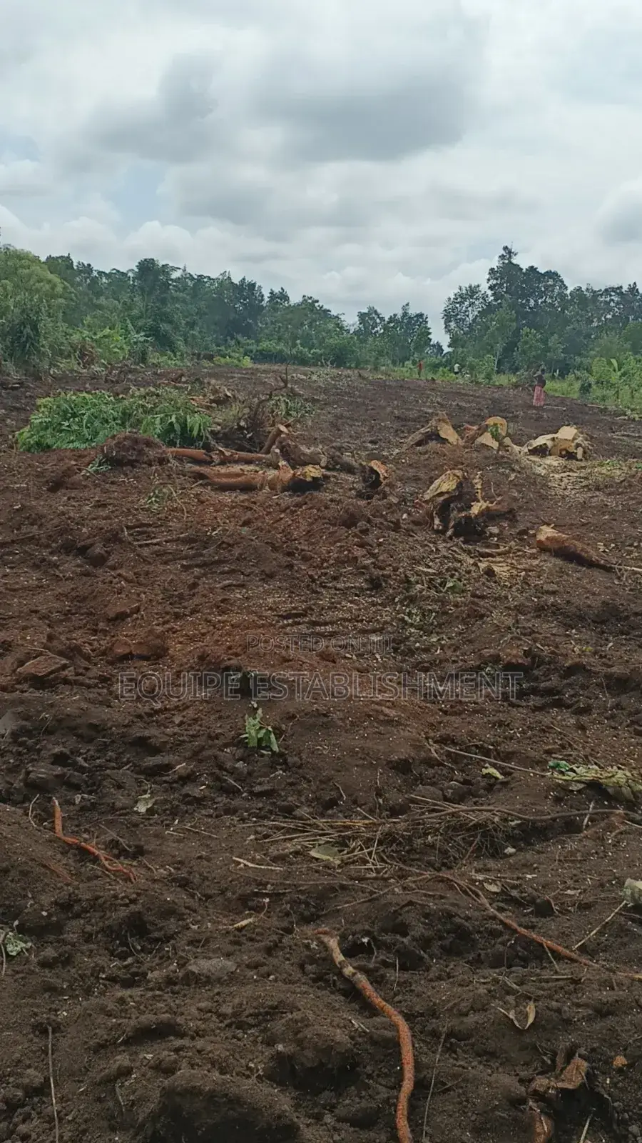 Equipe Establishment Uganda Limited in Kasawo