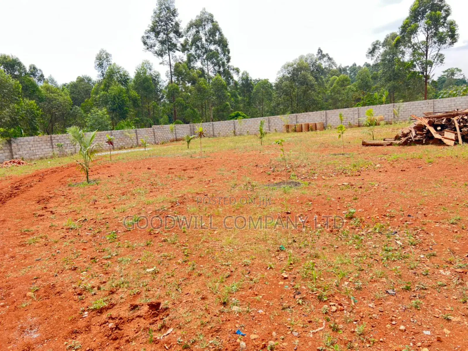 50 by 100 Plot of Land in Kira Mamerito Road in Central Division