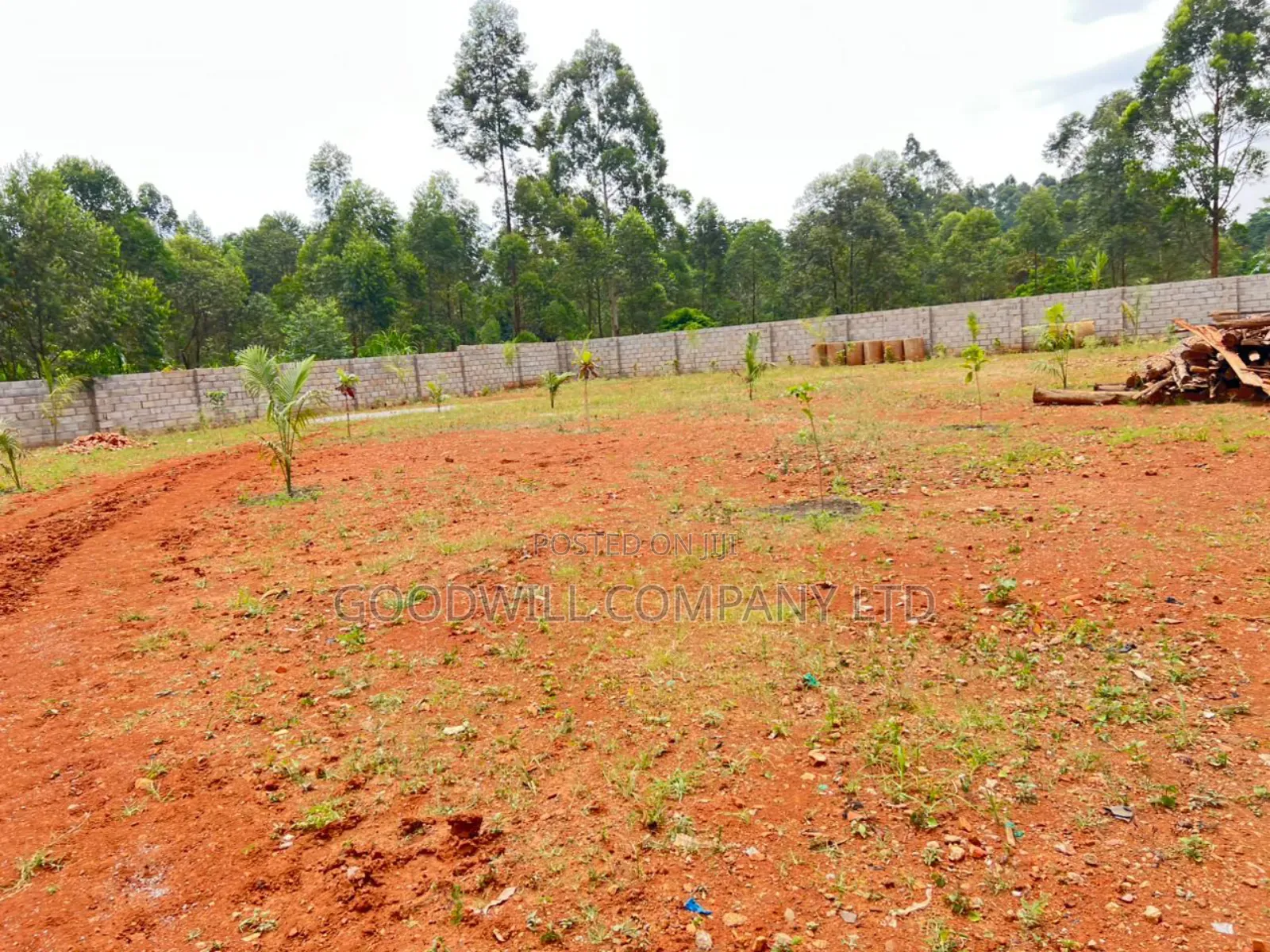 50 by 100 Plot of Land in Kira Mamerito Road in Central Division