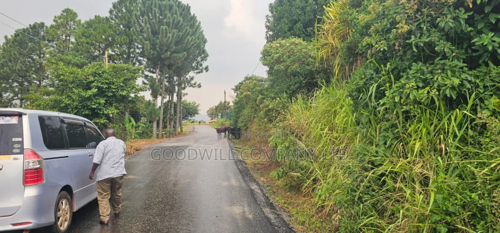 1 Acre of Land in Lubowa in Central Division