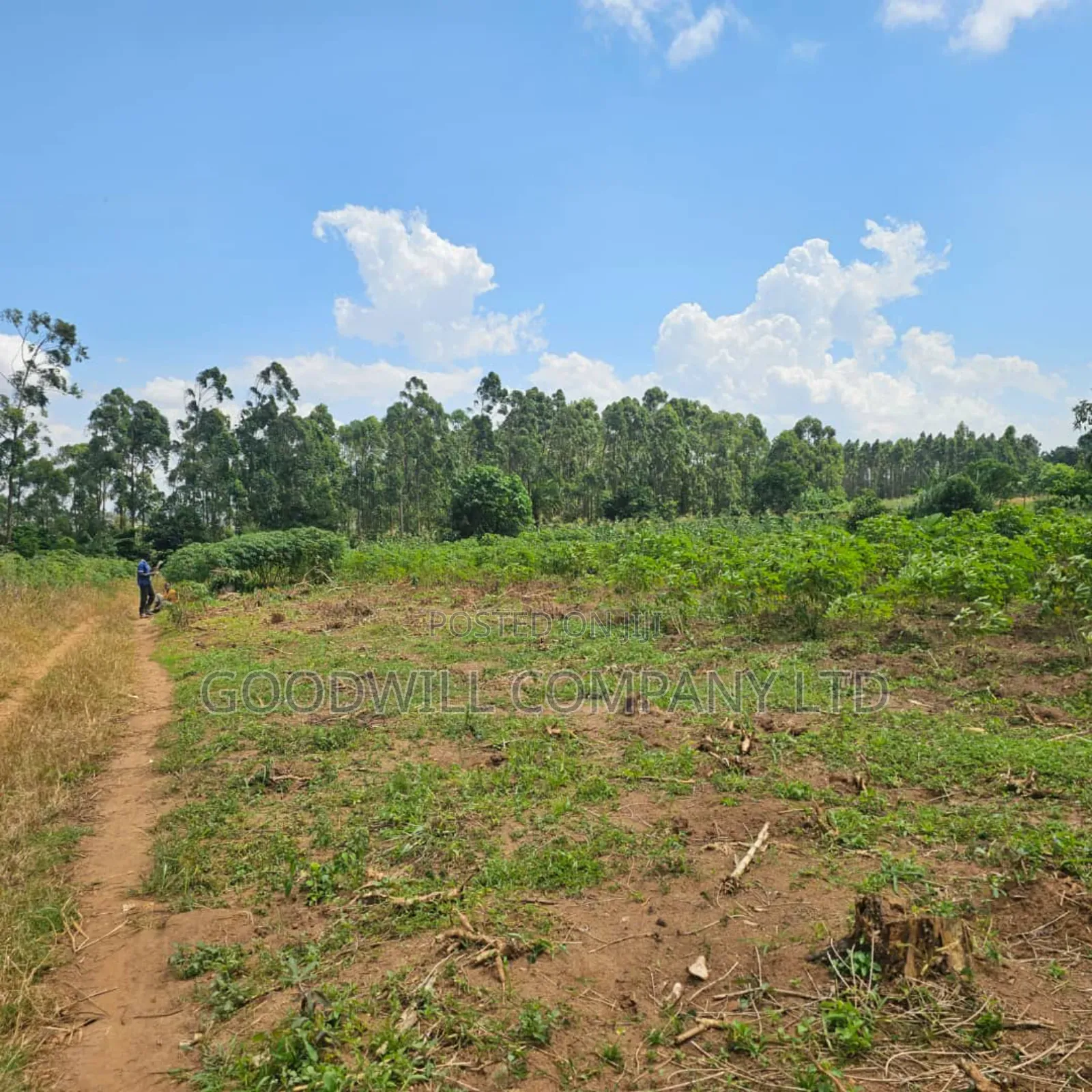Namanve Industrial Park 6.6 Arces in Central Division