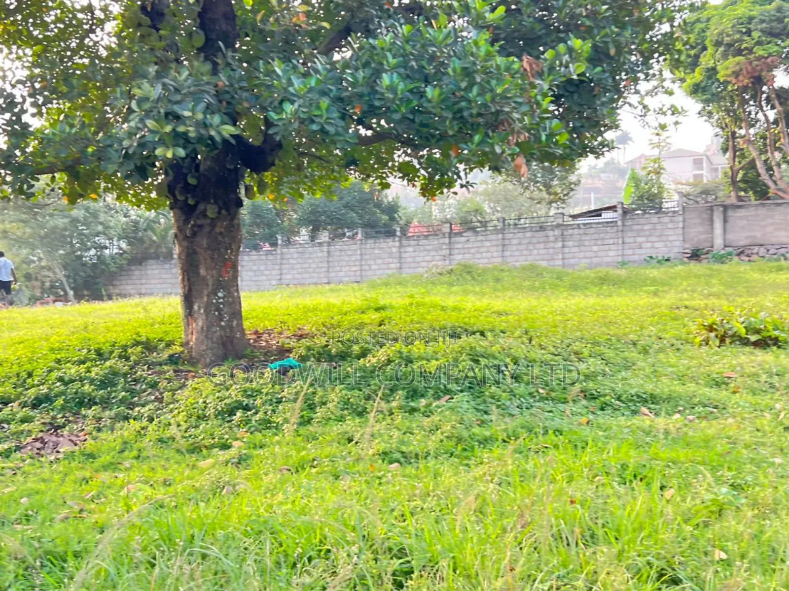 20 Decimals (2plots) of Land in Kisasi Kulambiro in Central Division