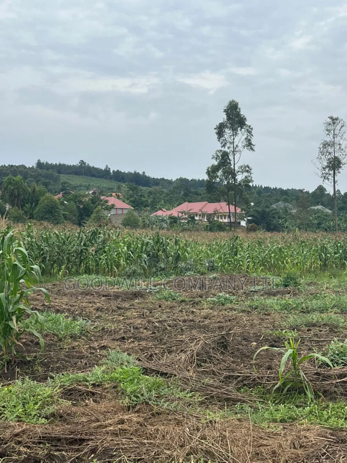 200 Acres of Low Land at Maya on Masaka Road Wakiso District in Central Division