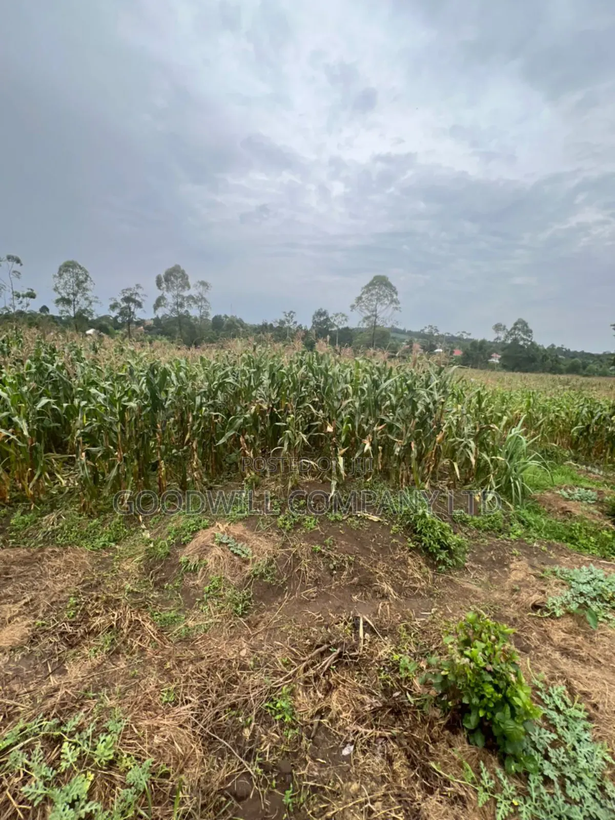 200 Acres of Low Land at Maya on Masaka Road Wakiso District in Central Division