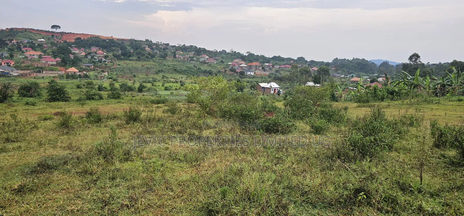 4 Acres on Quick Sale Neighbouring Wakiso Town in Wakiso / Wakiso