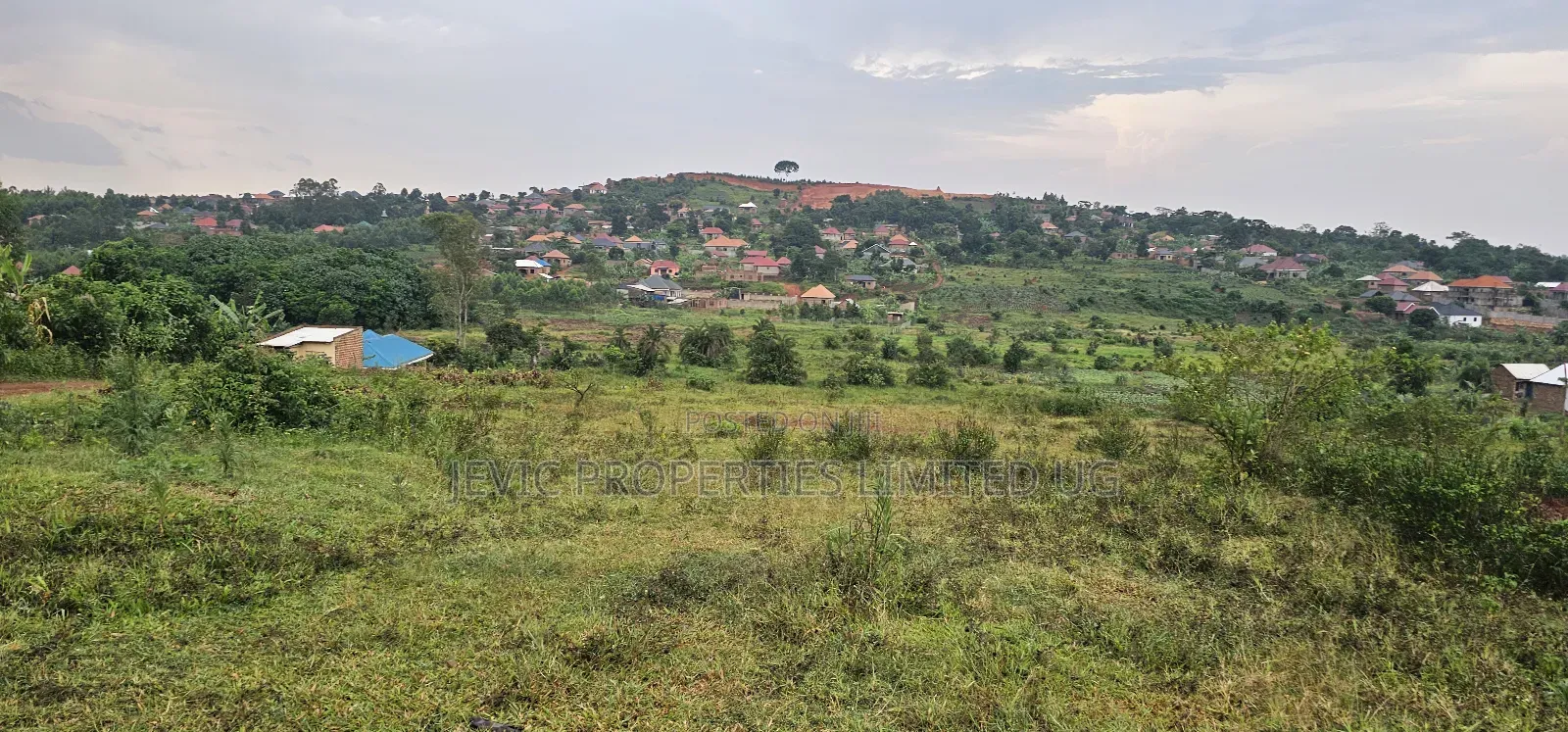 4 Acres on Quick Sale Neighbouring Wakiso Town in Wakiso / Wakiso