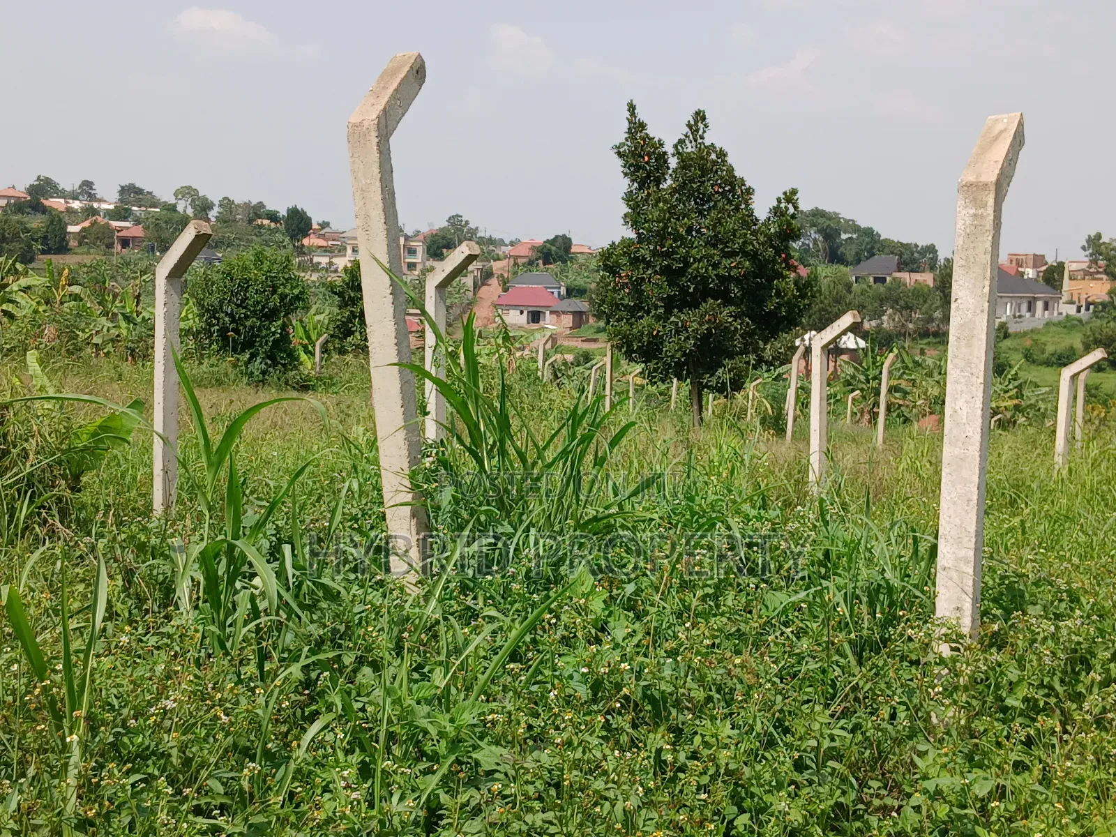 1acre of Land for Sale at Wakiso~Bulabakulu Along Hoima Road. in Wakiso / Wakiso