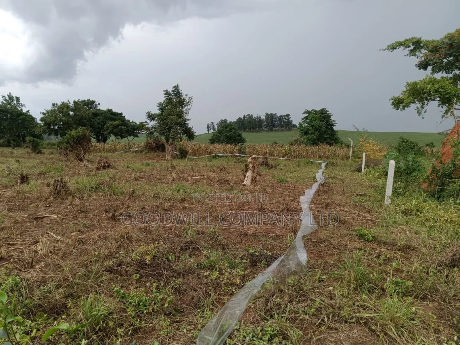 10 Acres of Land in Mbalala Mukono in Central Division