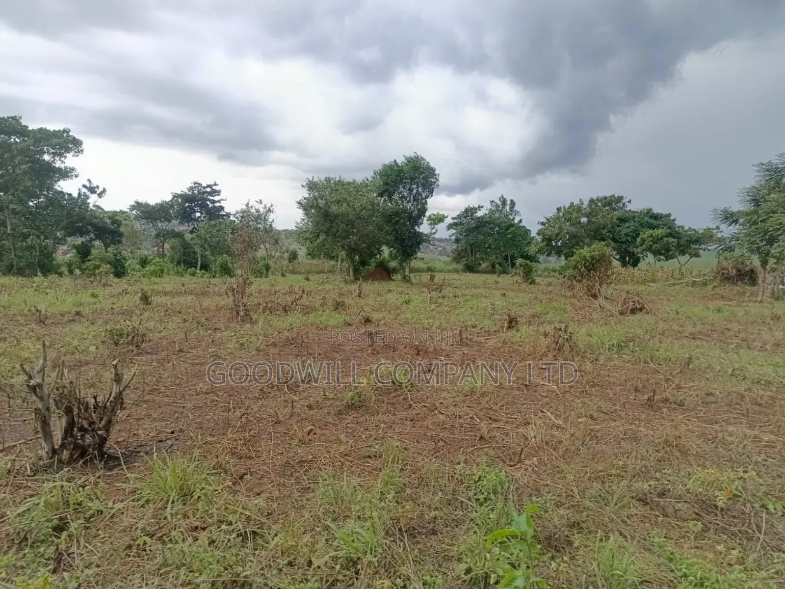 10 Acres of Land in Mbalala Mukono in Central Division
