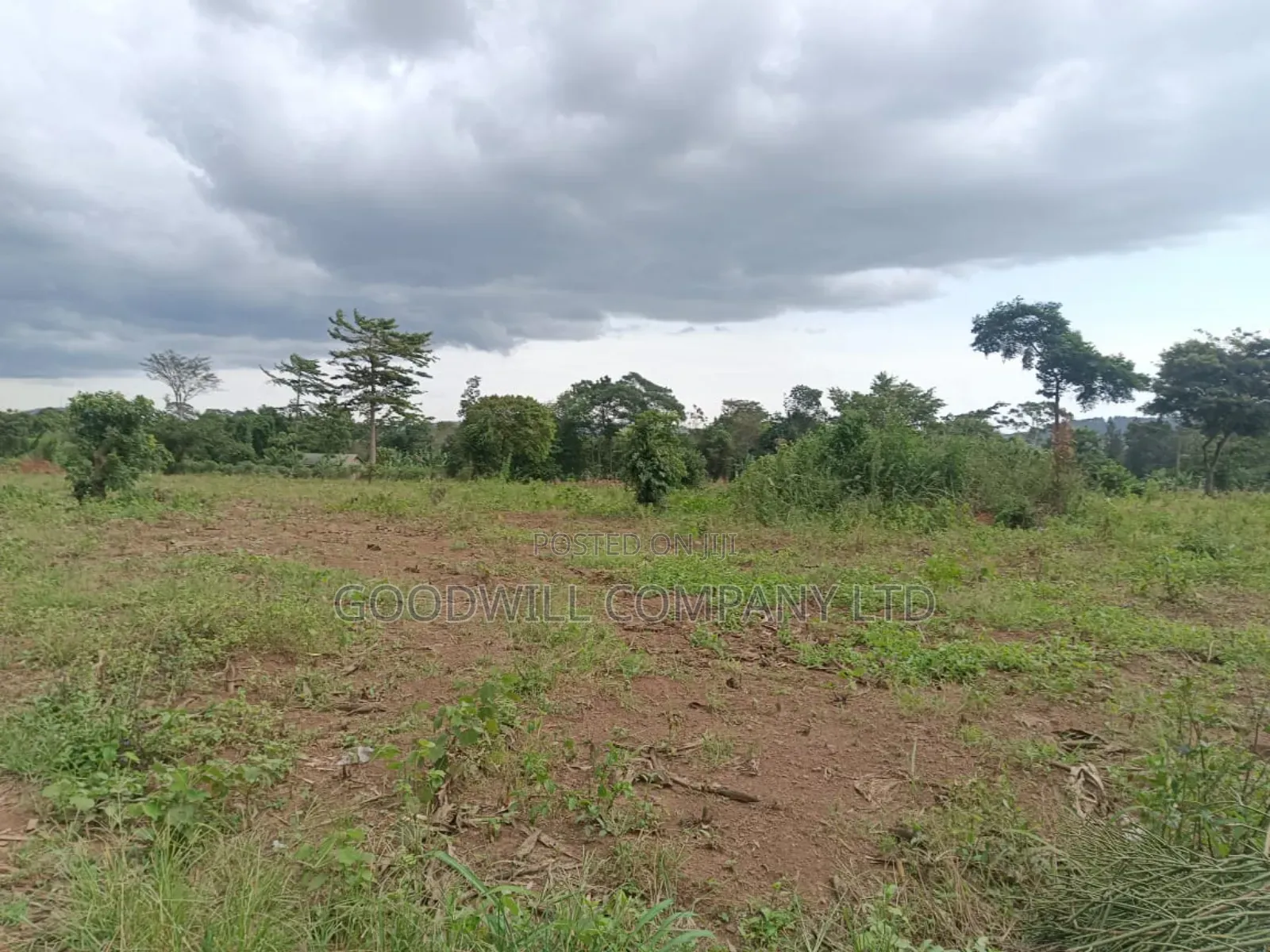 10 Acres of Land in Mbalala Mukono in Central Division