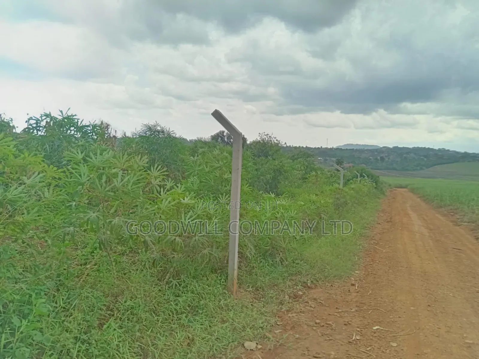 10 Acres of Land in Mbalala Mukono in Central Division