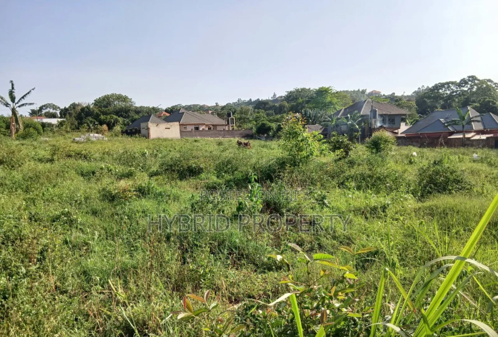 1.17acres Of Land For Sale At Wakiso~Sala Along Hoima Road. in Wakiso / Wakiso