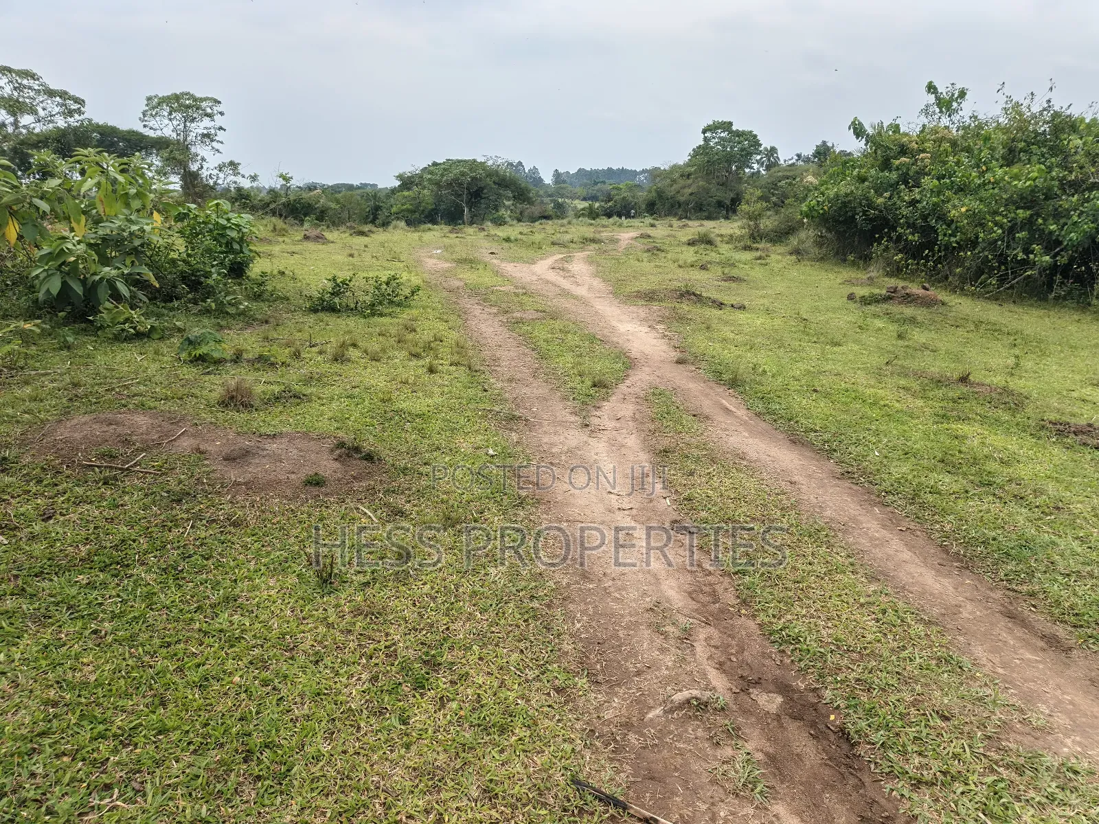 Farmland on Sale in Kyenjojo