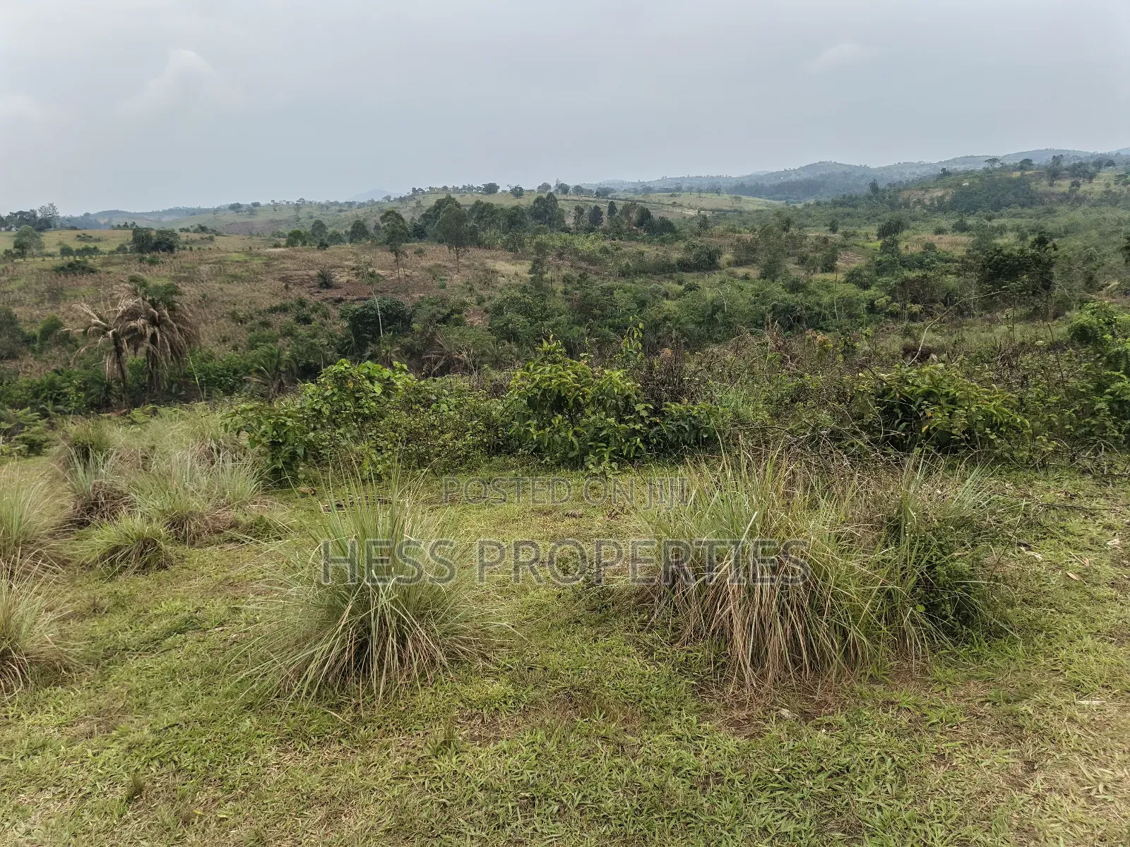Farmland on Sale in Kyenjojo