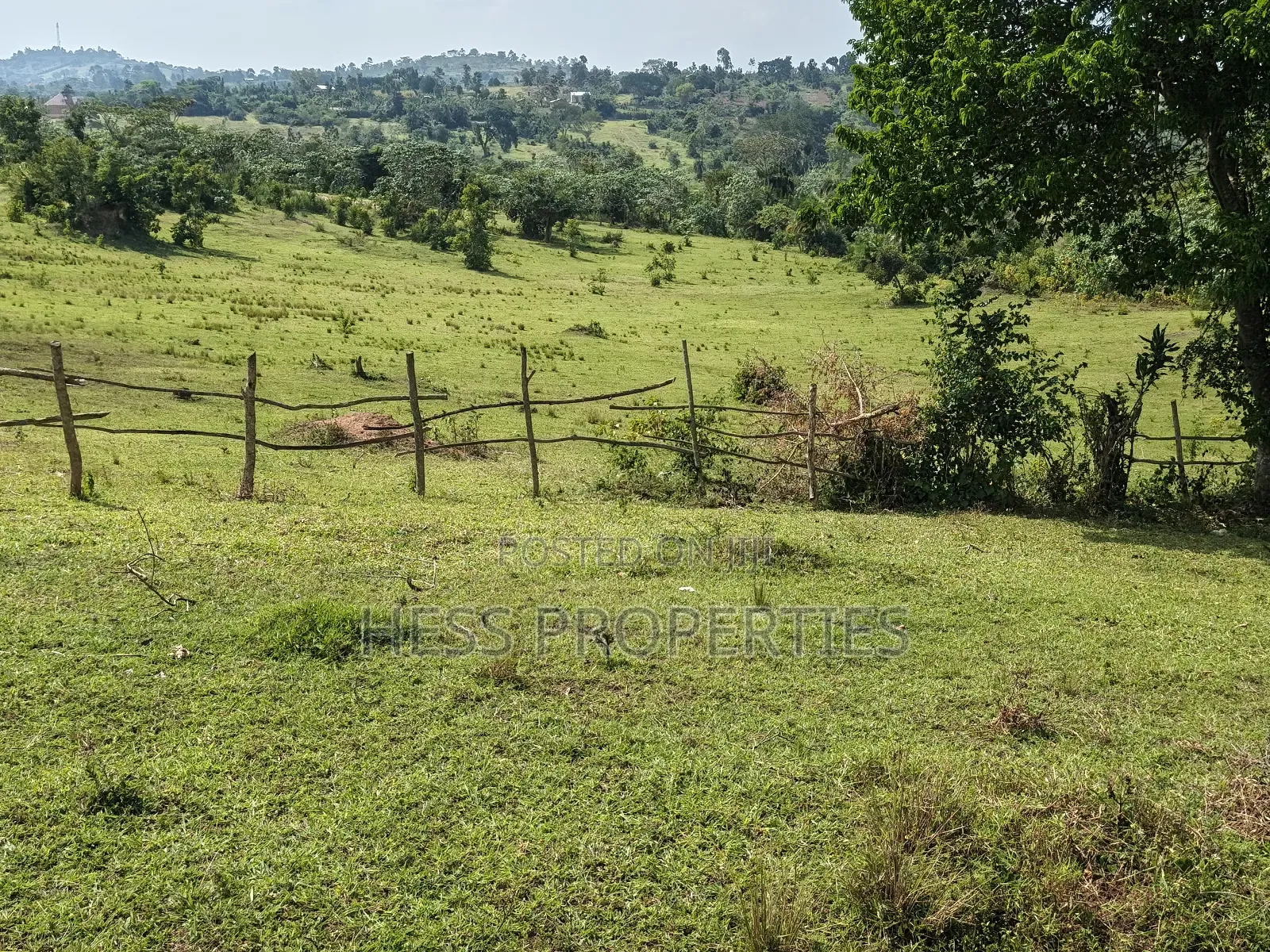 Bisozi-Kamwenge Farmland on Sale in Kamwenge