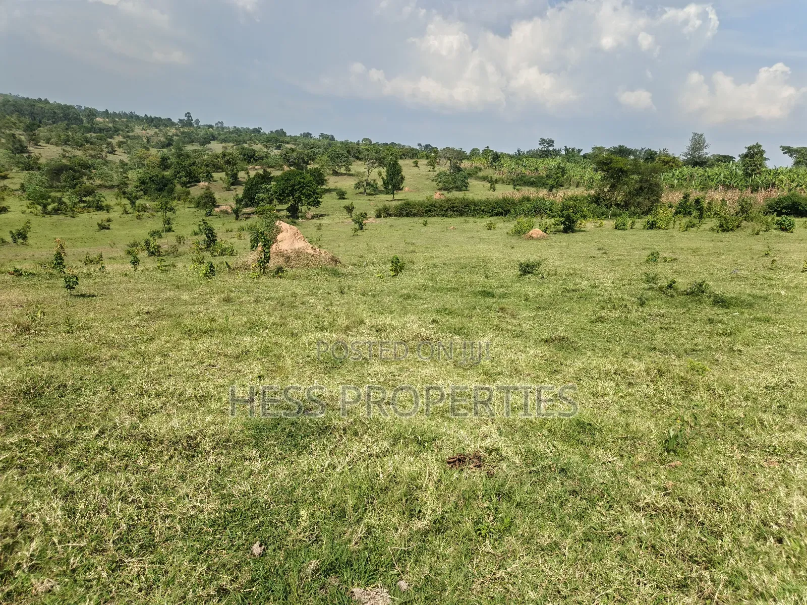 Bisozi-Kamwenge Farmland on Sale in Kamwenge