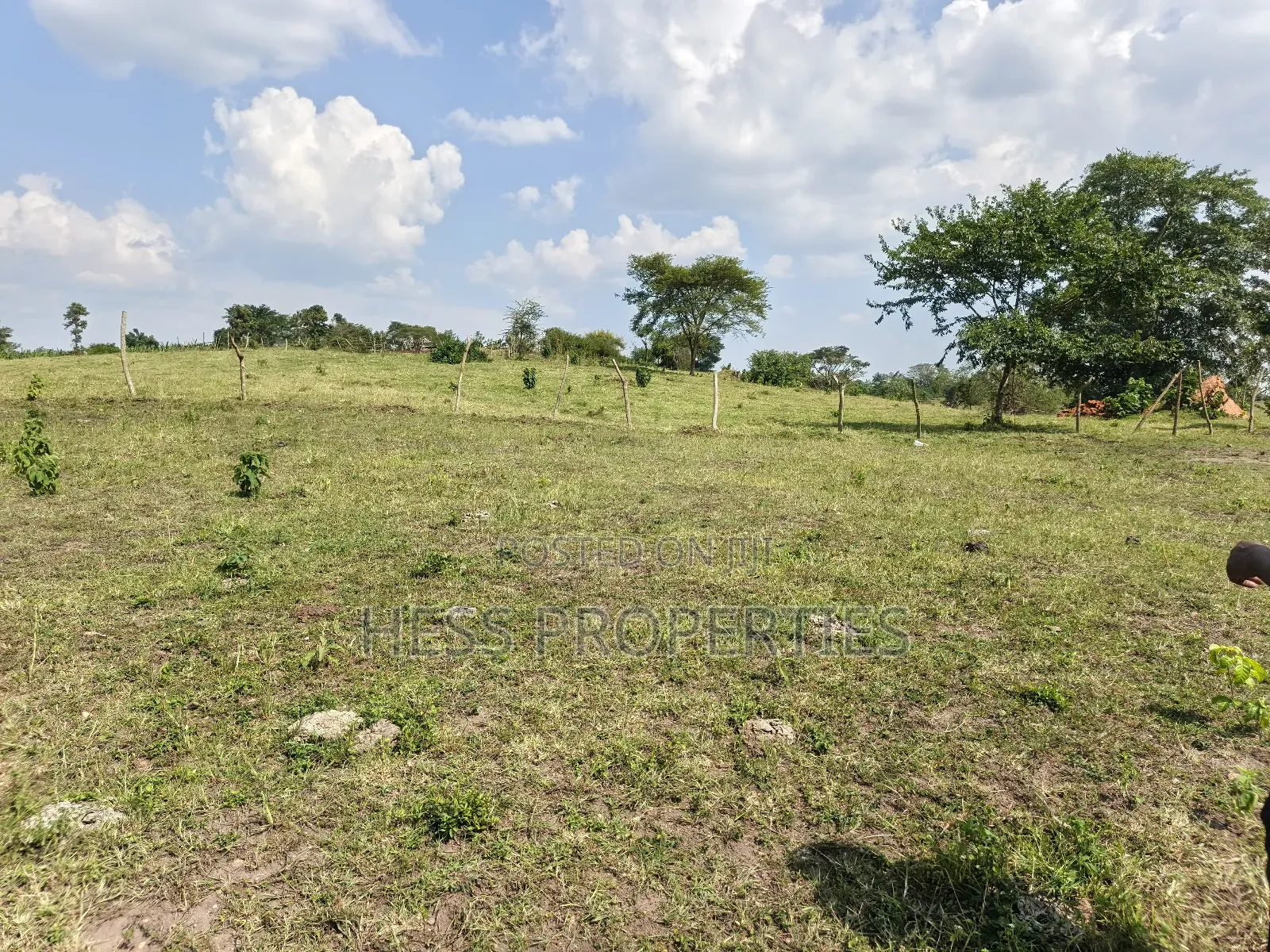 Bisozi-Kamwenge Farmland on Sale in Kamwenge