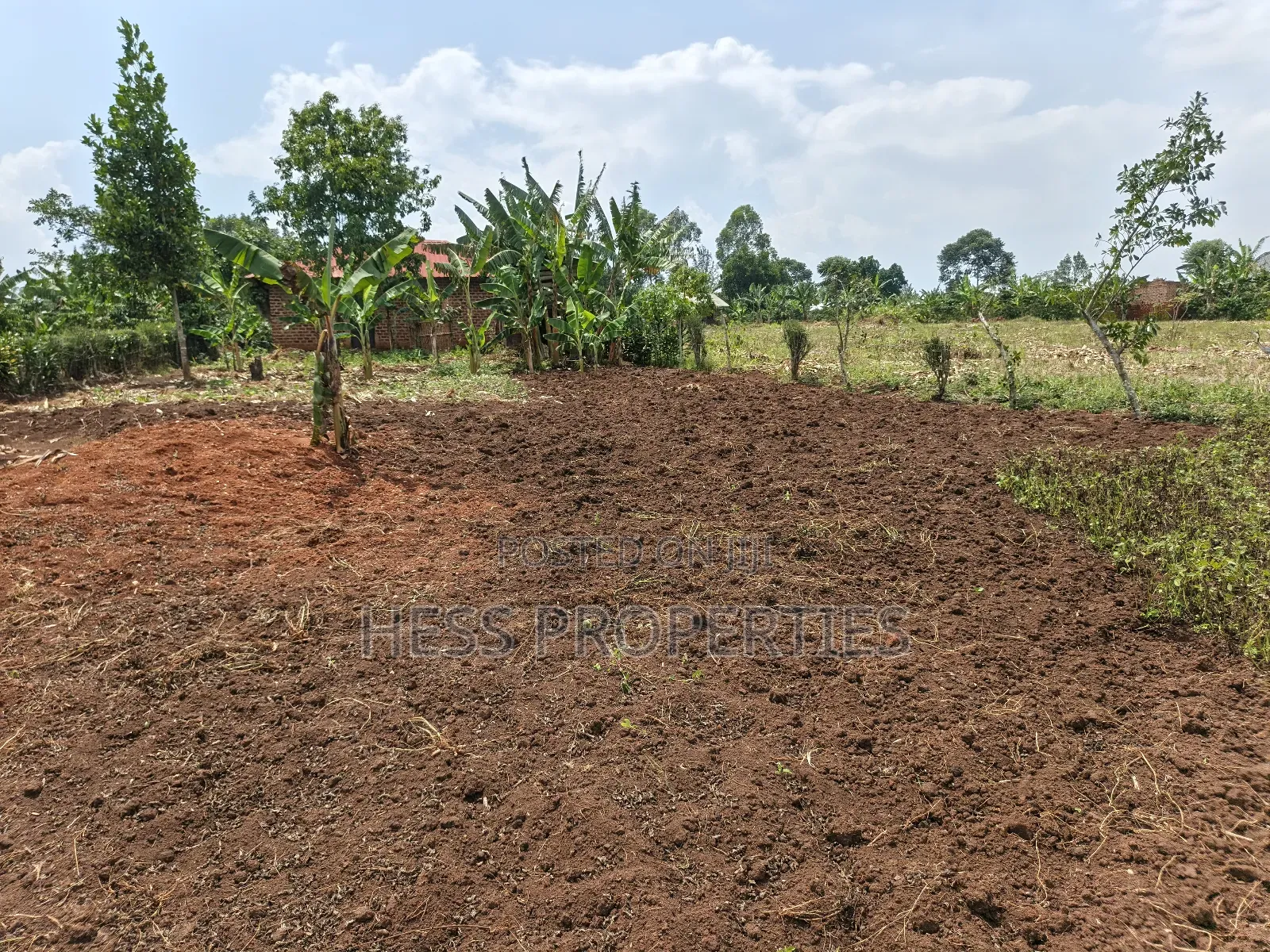 Agricultural Land in Kamwenge on Sale in Kamwenge
