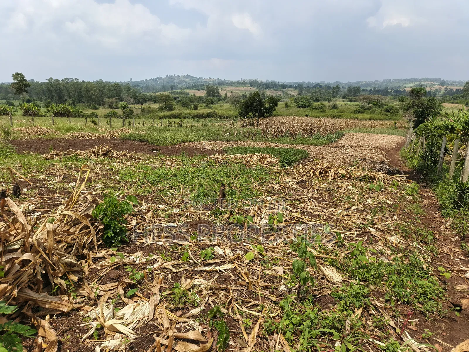 Agricultural Land in Kamwenge on Sale in Kamwenge