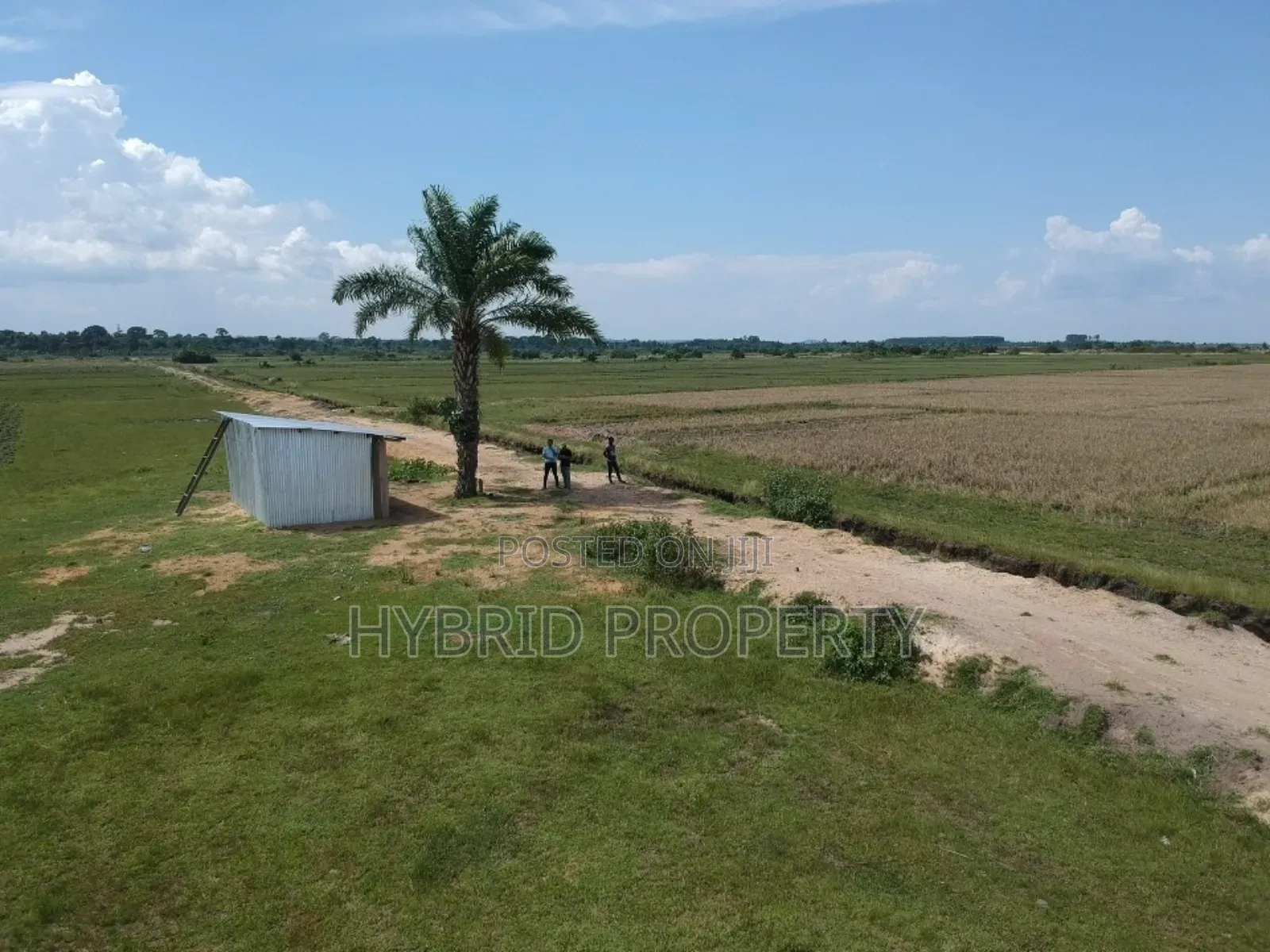 735acres Of Pure Black Fertile Land For Sale Along Masaka~Bukakata Rd. in Bukakata