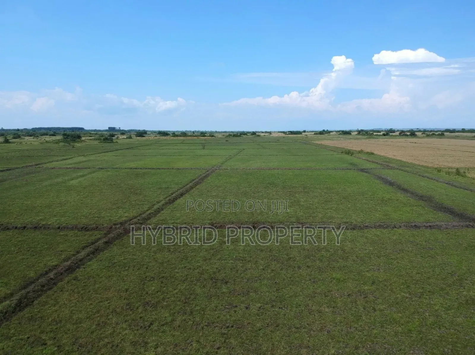 735acres Of Pure Black Fertile Land For Sale Along Masaka~Bukakata Rd. in Bukakata