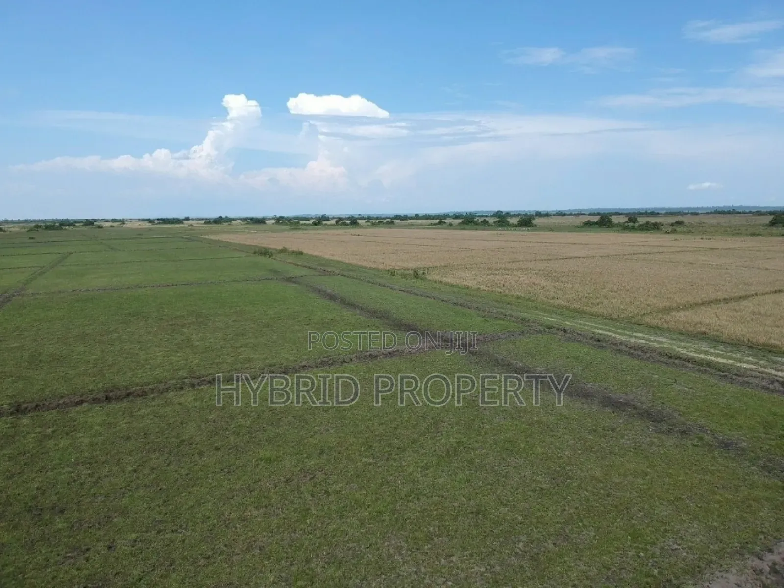 735acres Of Pure Black Fertile Land For Sale Along Masaka~Bukakata Rd. in Bukakata