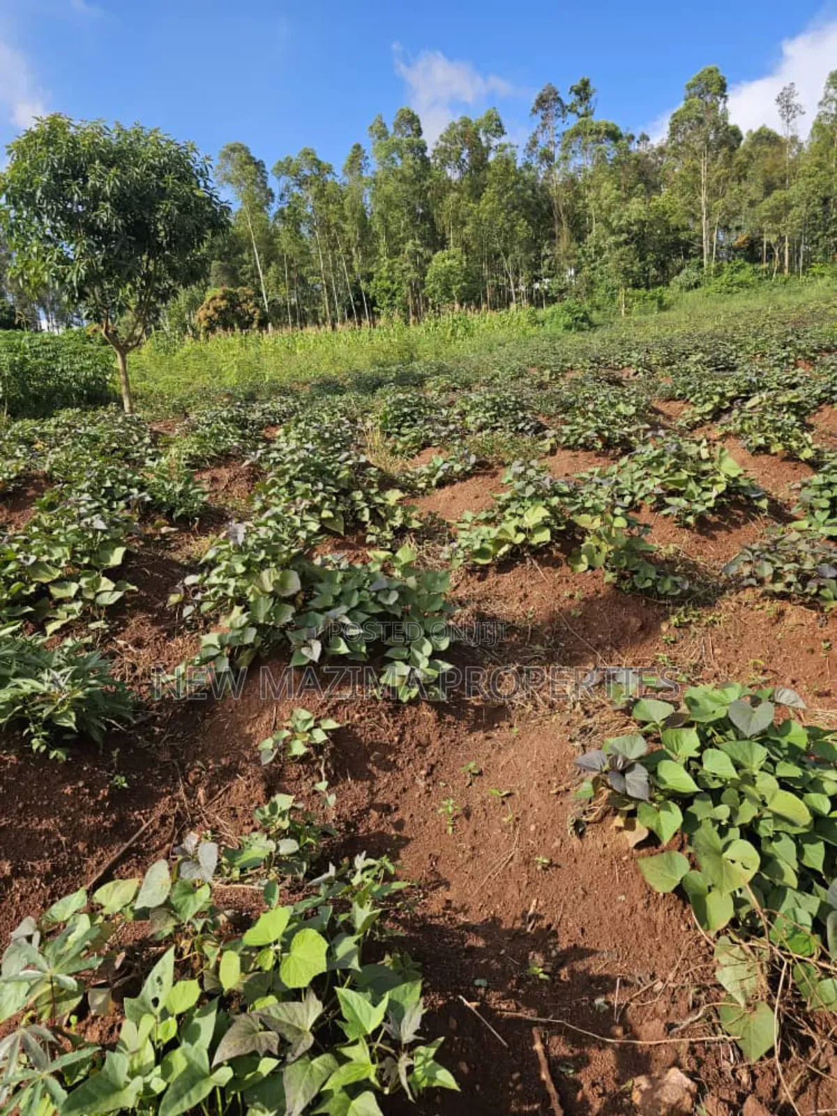 Full Acre on Forced Sale in Heart of Kitende Nalubude Along Ntebe Rd in Central Division