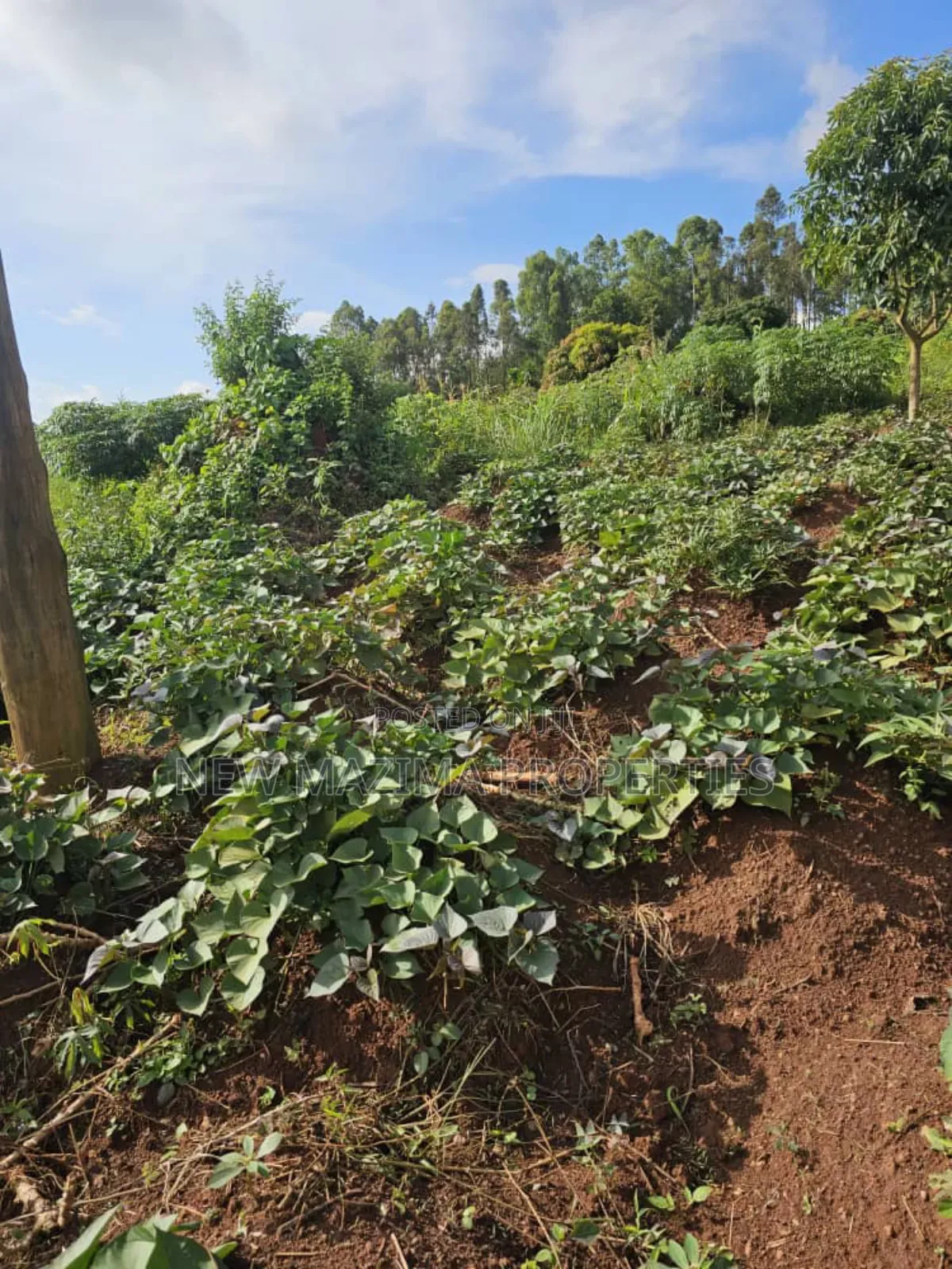 Full Acre on Forced Sale in Heart of Kitende Nalubude Along Ntebe Rd in Central Division