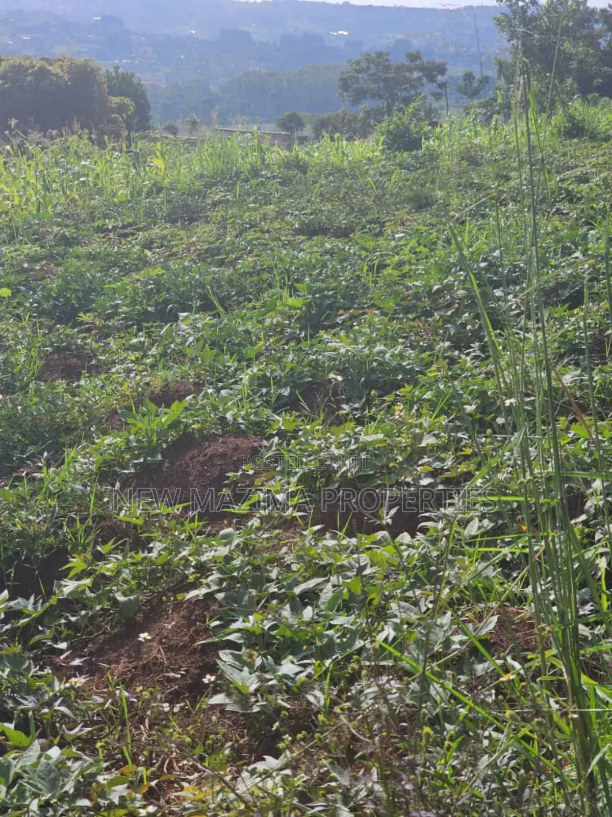Full Acre on Forced Sale in Heart of Kitende Nalubude Along Ntebe Rd in Central Division