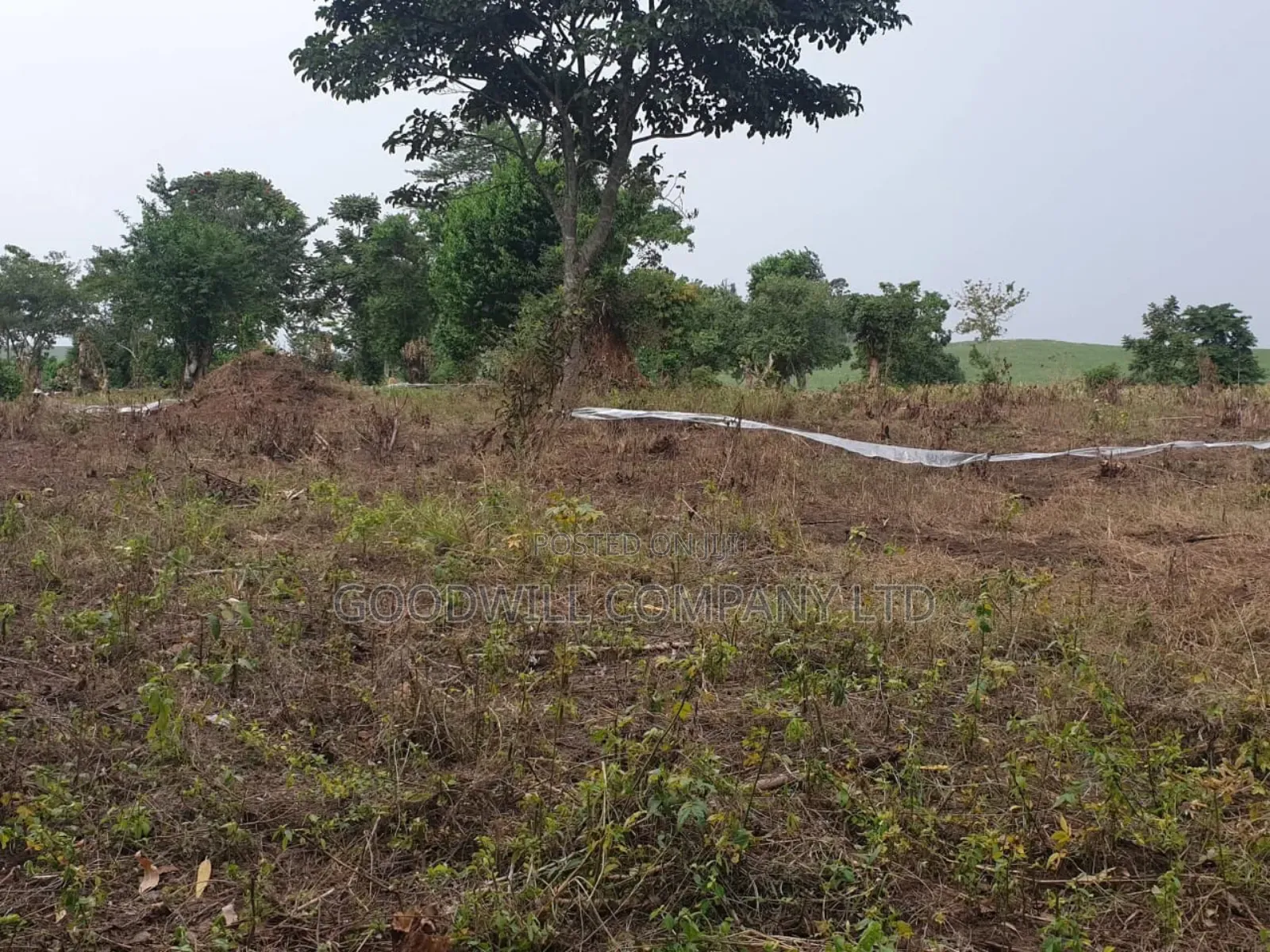 18acres of Land at Nakapinyi_mukono, Off Seeta High 1.8km Off Tarmac in Central Division