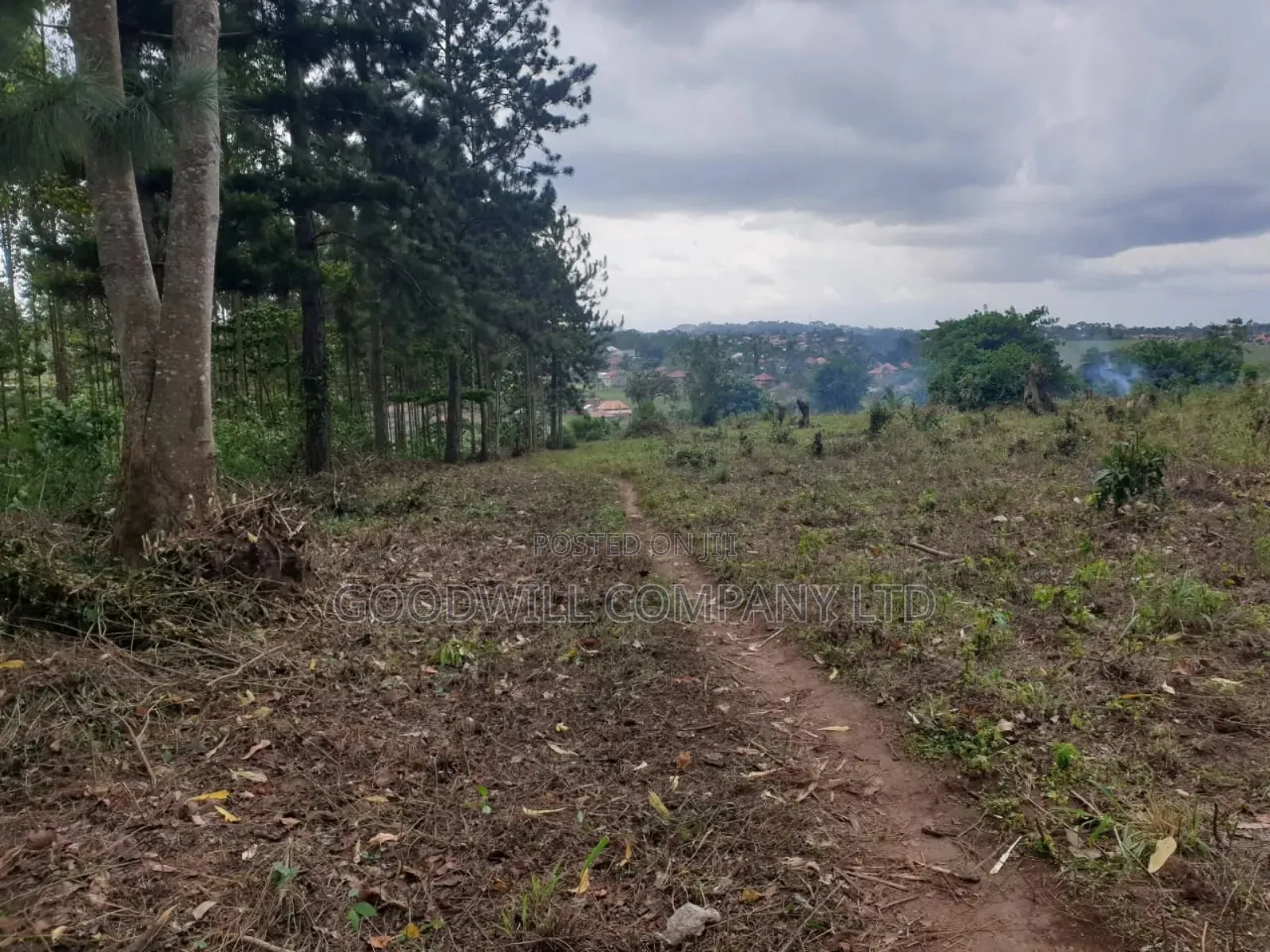 18acres of Land at Nakapinyi_mukono, Off Seeta High 1.8km Off Tarmac in Central Division